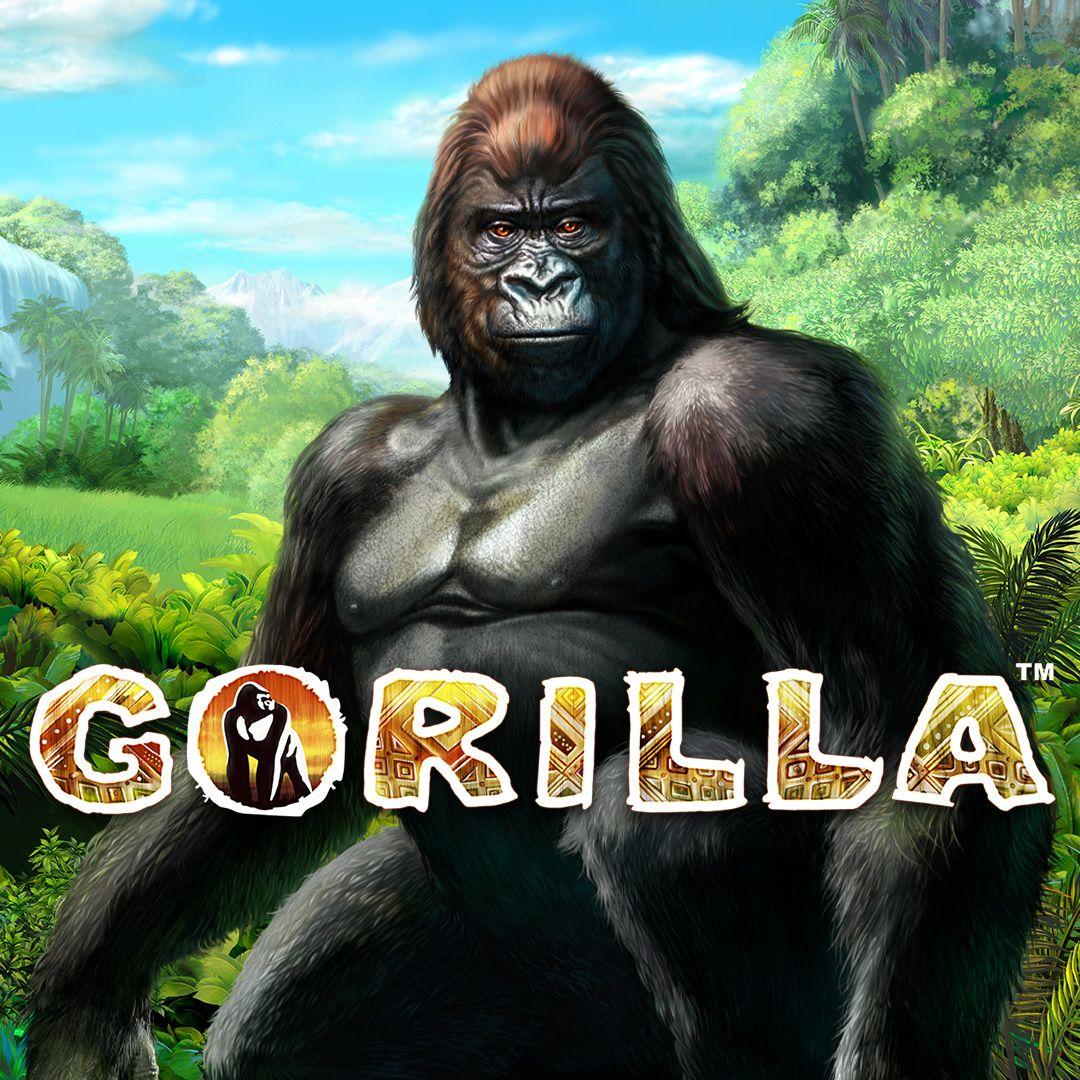 Gorilla